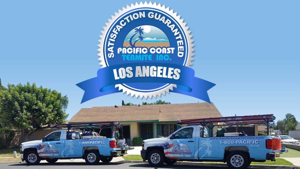 Termite Company Los Angeles County, CA A+ Rating BBB