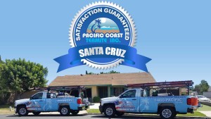 termite company Santa Cruz County CA