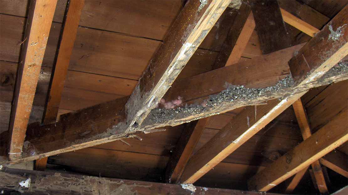 How to Fix Termite Damaged Wood 