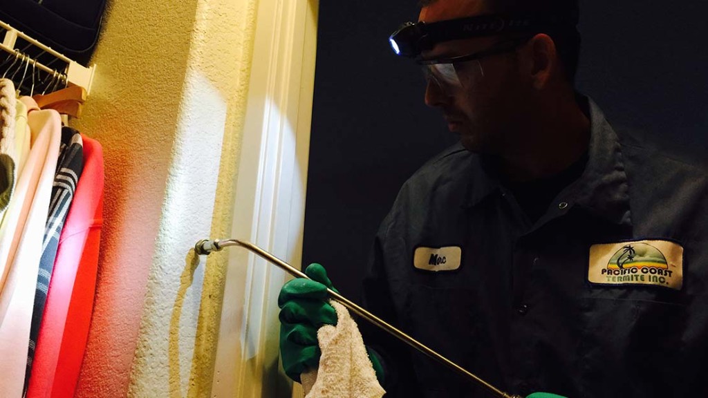 XT2000 Orange Oil Termite Control Treatment