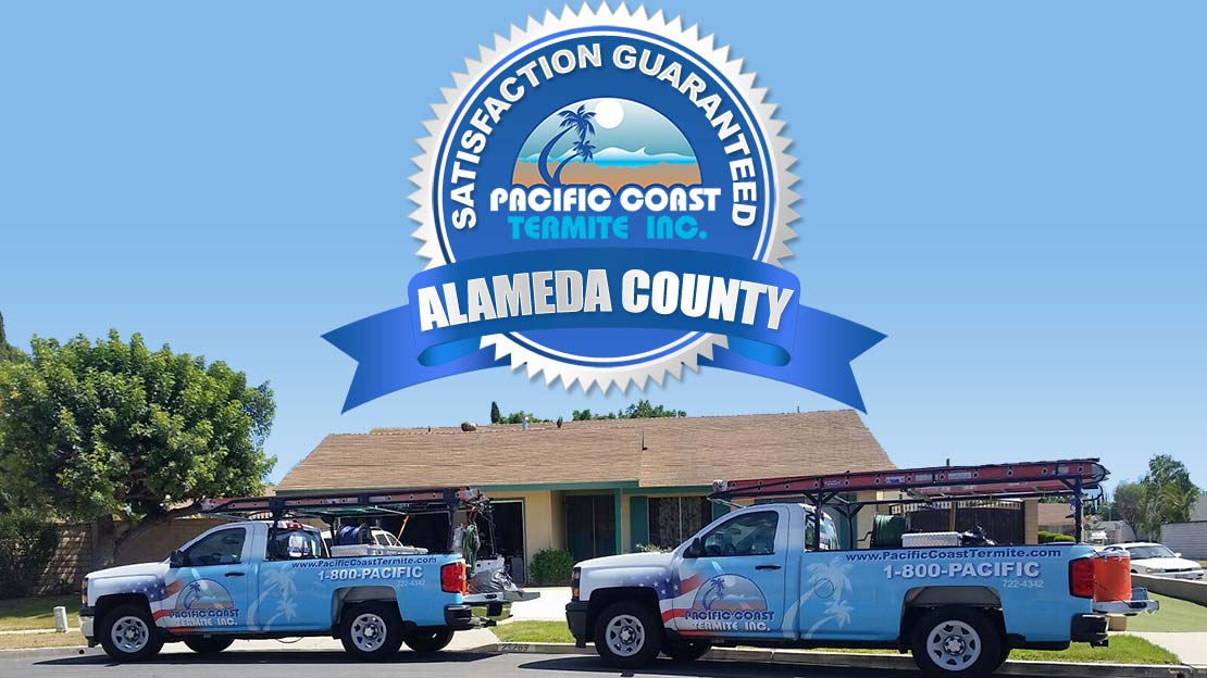 termite company Alameda County CA